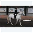 durdress9_0064