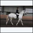 durdress9_0065