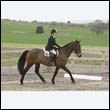 durdress9_0068