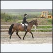 durdress9_0070