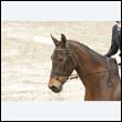 durdress9_0072