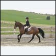 durdress9_0074