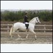 durdress9_0089
