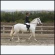 durdress9_0090