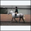 durdress9_0101