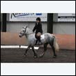 durdress9_0102