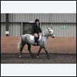 durdress9_0104