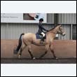 durdress9_0109