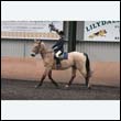 durdress9_0112