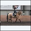 durdress9_0113