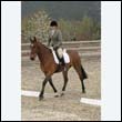 durdress9_0115