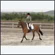 durdress9_0117