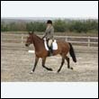 durdress9_0118
