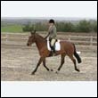 durdress9_0119