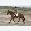 durdress9_0120