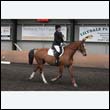 durdress9_0128