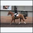 durdress9_0130