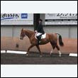 durdress9_0131