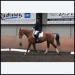 durdress9_0132