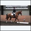 durdress9_0135