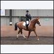 durdress9_0136