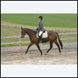 durdress9_0137