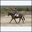 durdress9_0138