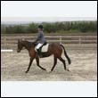 durdress9_0141