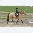 durdress9_0150