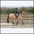 durdress9_0151