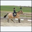 durdress9_0153