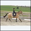 durdress9_0154
