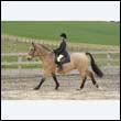 durdress9_0156