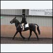 durdress9_0162