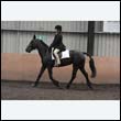 durdress9_0163