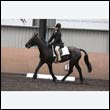 durdress9_0164