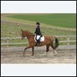 durdress9_0167