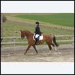 durdress9_0168