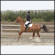durdress9_0169