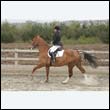 durdress9_0170