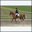 durdress9_0171