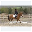 durdress9_0172