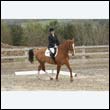 durdress9_0173