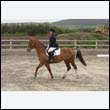 durdress9_0174