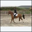 durdress9_0175