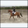 durdress9_0176