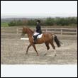 durdress9_0177