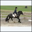 durdress9_0179