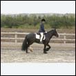 durdress9_0185