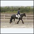 durdress9_0186
